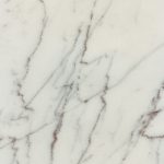 BIANCO CARRARA VENATO